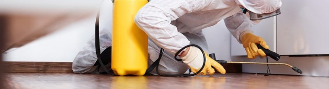 Controle de Pragas Urbanas Residencial  24 HORAS